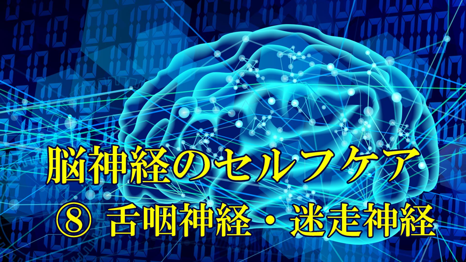 種類は何ですか?